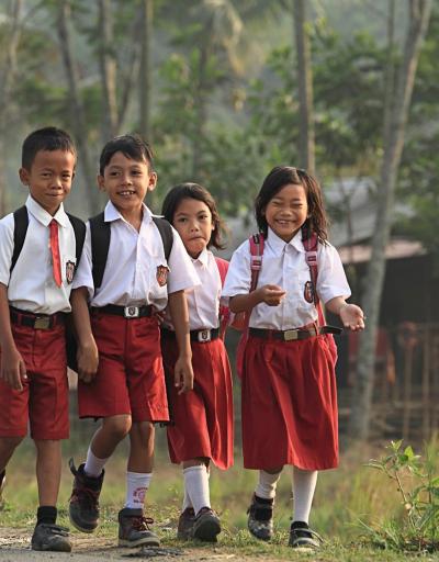education for peace recommendation